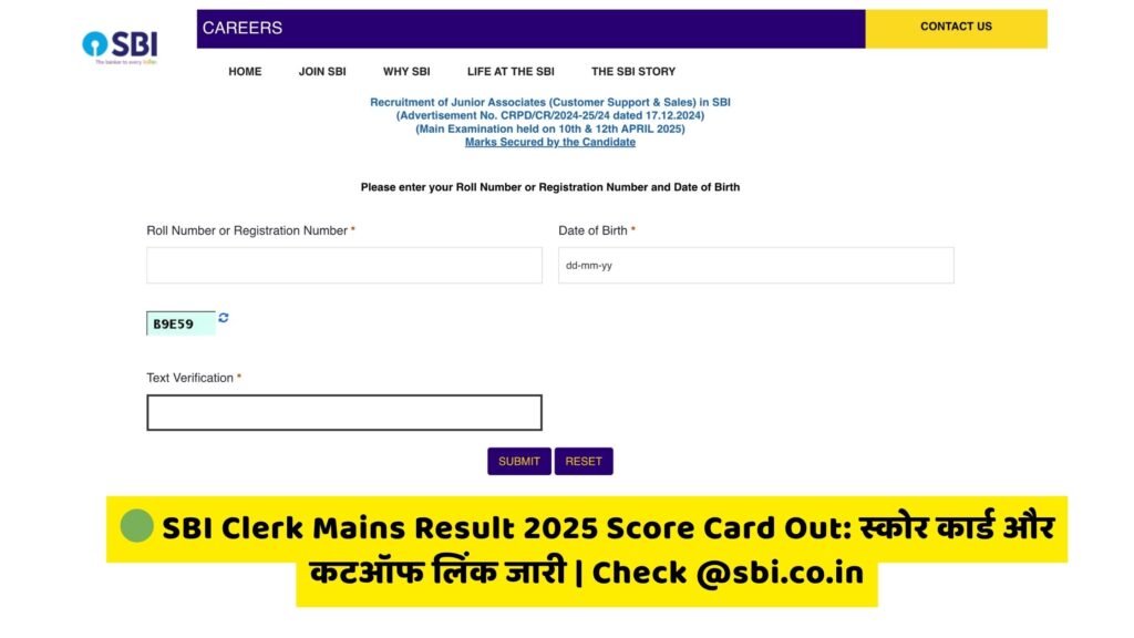 SBI Clerk Mains Result 2025 Score Card
