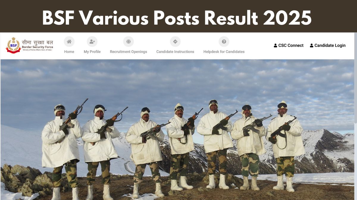 BSF Result 2025