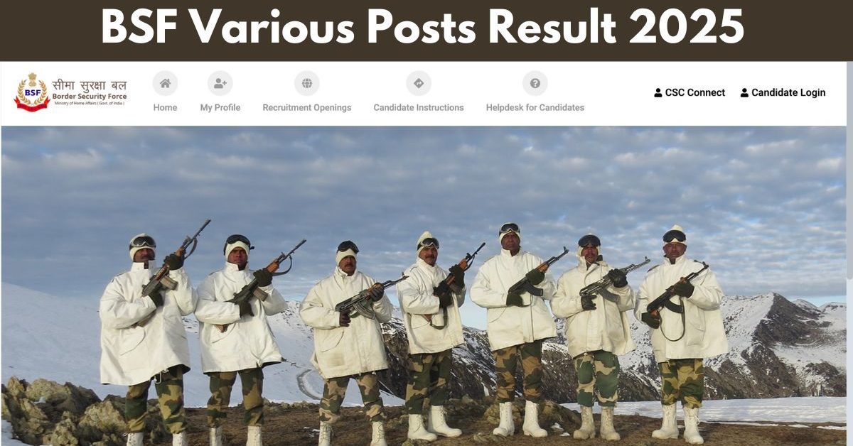 BSF Result 2025